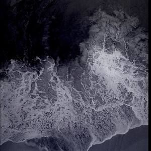 Meet your Posher, Dillon